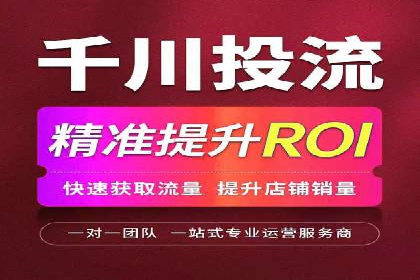 案例研究：SEM开户助力电商快速崛起